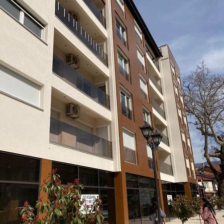 Svir Skyline Apartment No 39 Ohri Dış mekan fotoğraf
