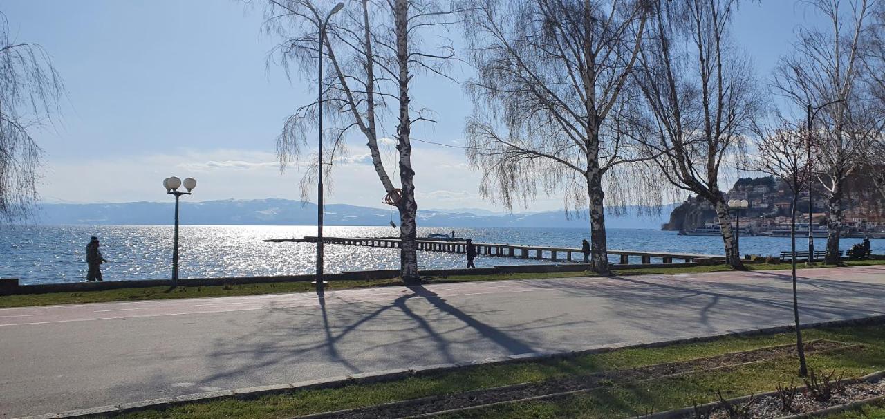 Svir Skyline Apartment No 39 Ohri Dış mekan fotoğraf